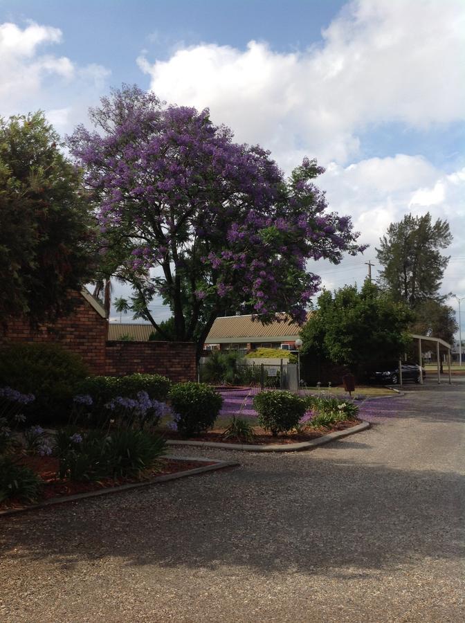 Belvoir Village Motel & Apartments Wodonga Εξωτερικό φωτογραφία