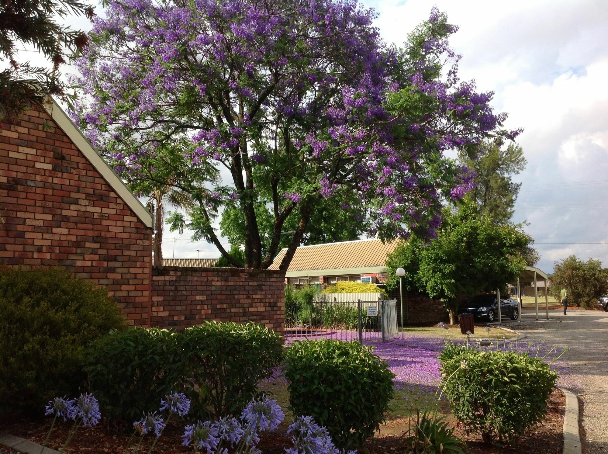 Belvoir Village Motel & Apartments Wodonga Εξωτερικό φωτογραφία